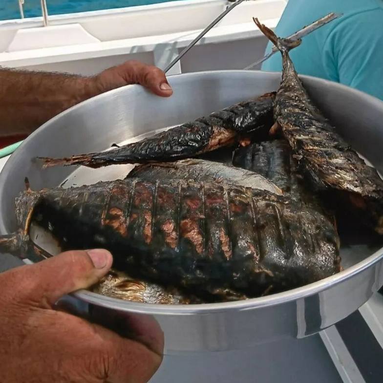 Fishing Trips in Naxos